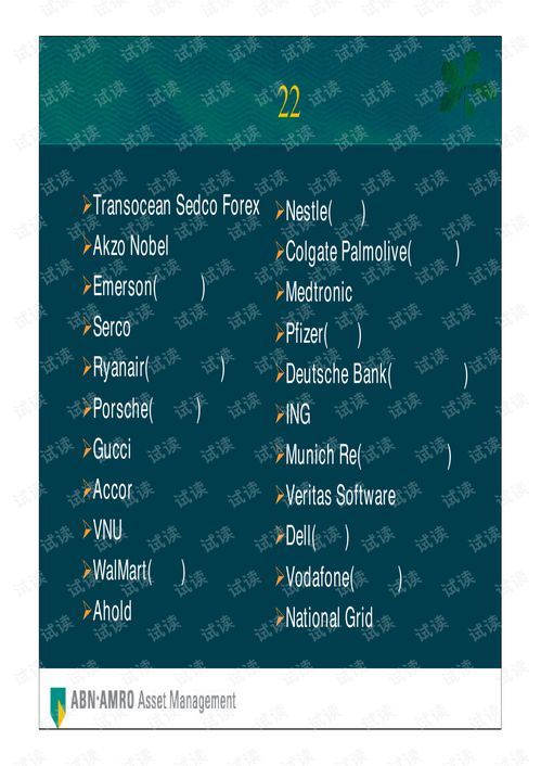 荷銀投資管理公司全球首選投資策略商業(yè)計(jì)劃書精品模板.pdf